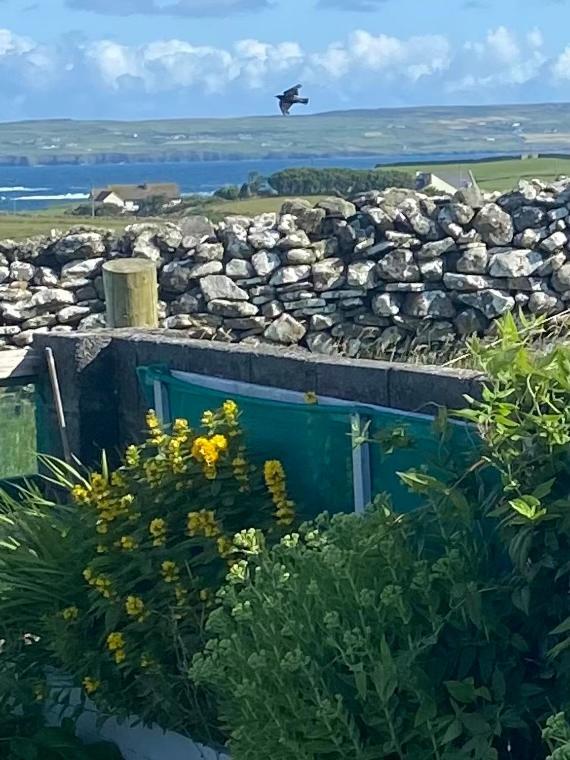 Journey'S End B&B Milltown Malbay Buitenkant foto