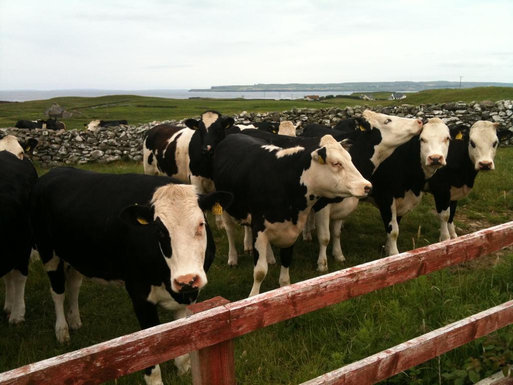 Journey'S End B&B Milltown Malbay Buitenkant foto